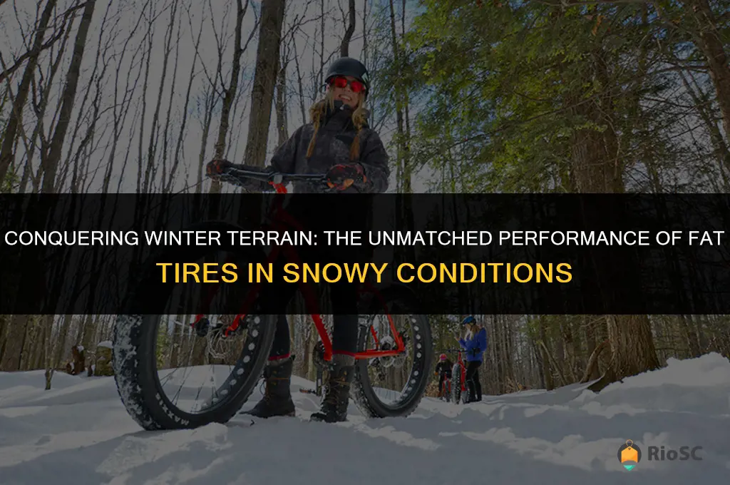 best type of bicycle tires fat tires for the snow