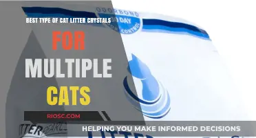 Top Cat Litter Crystal Options for Multi-Cat Households: Odor Control, Absorbency, and Longevity Compared