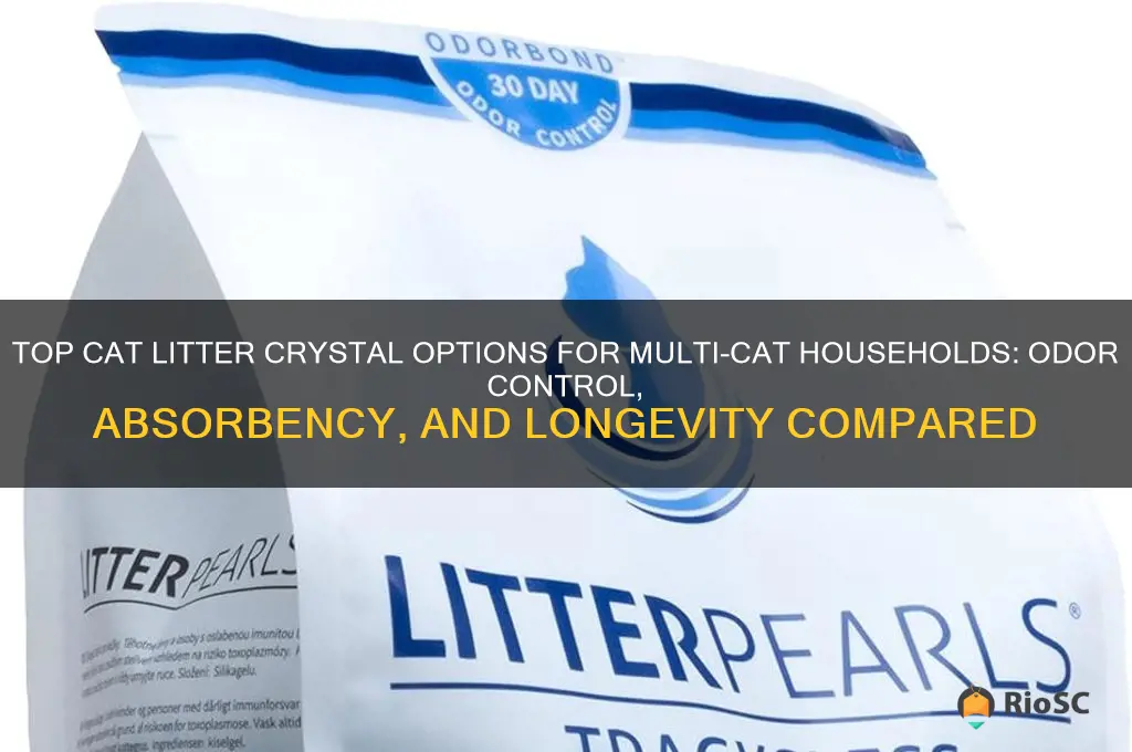 best type of cat litter crystals for multiple cats
