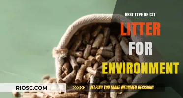 Eco-Friendly Feline Care: Discover the Best Cat Litter for a Greener Environment
