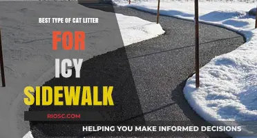 Eco-Friendly Cat Litter: The Unexpected Solution for Melting Ice on Sidewalks
