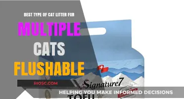Flushable Cat Litter Solutions: Top Picks for Multi-Cat Households