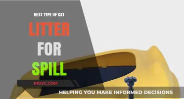 Top Spill-Proof Cat Litter Options to Keep Your Home Clean and Mess-Free