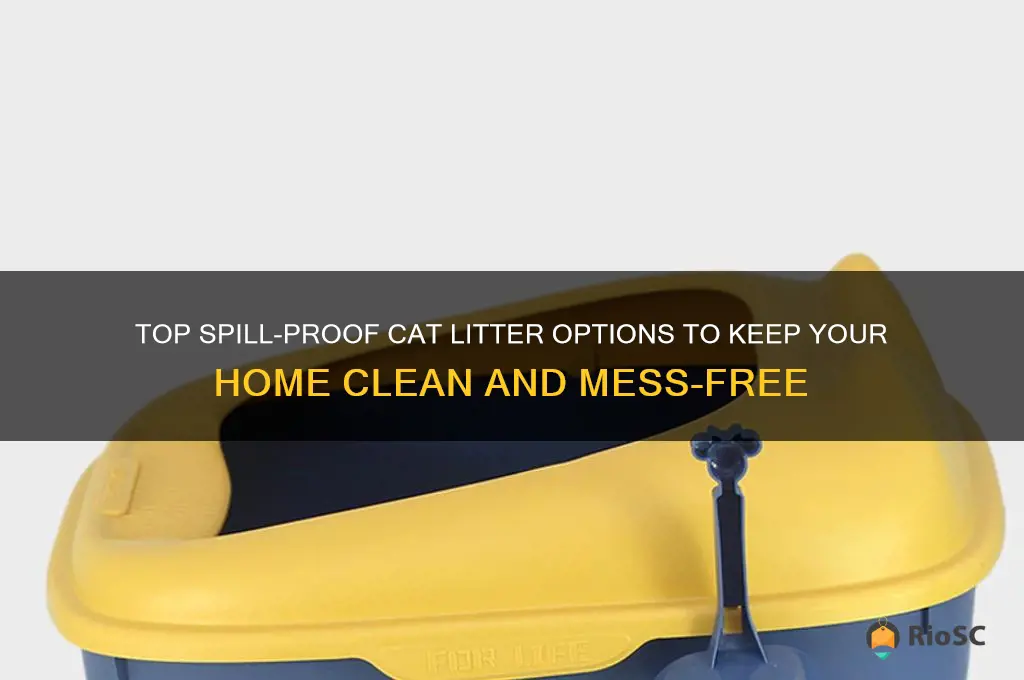 best type of cat litter for spill