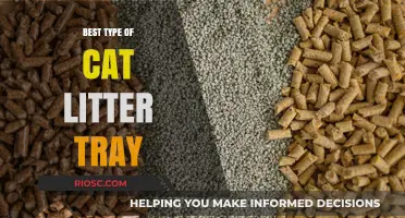 Choosing the Perfect Cat Litter Tray: Top Types for Happy Cats and Clean Homes