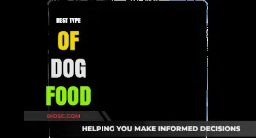 Nutrition Unleashed: Unveiling the Optimal Dog Food for Your Furry Friend's Health and Happiness