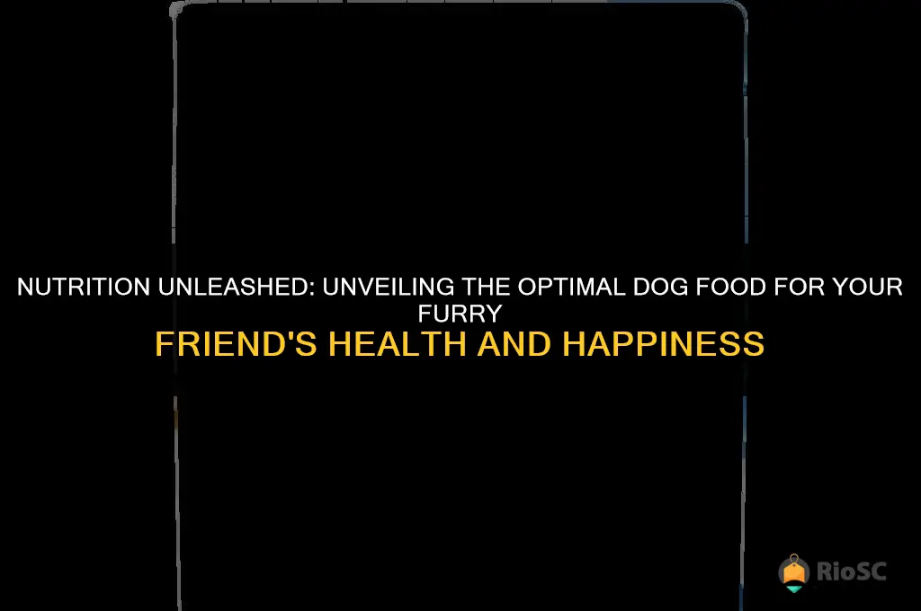 best type of dog food