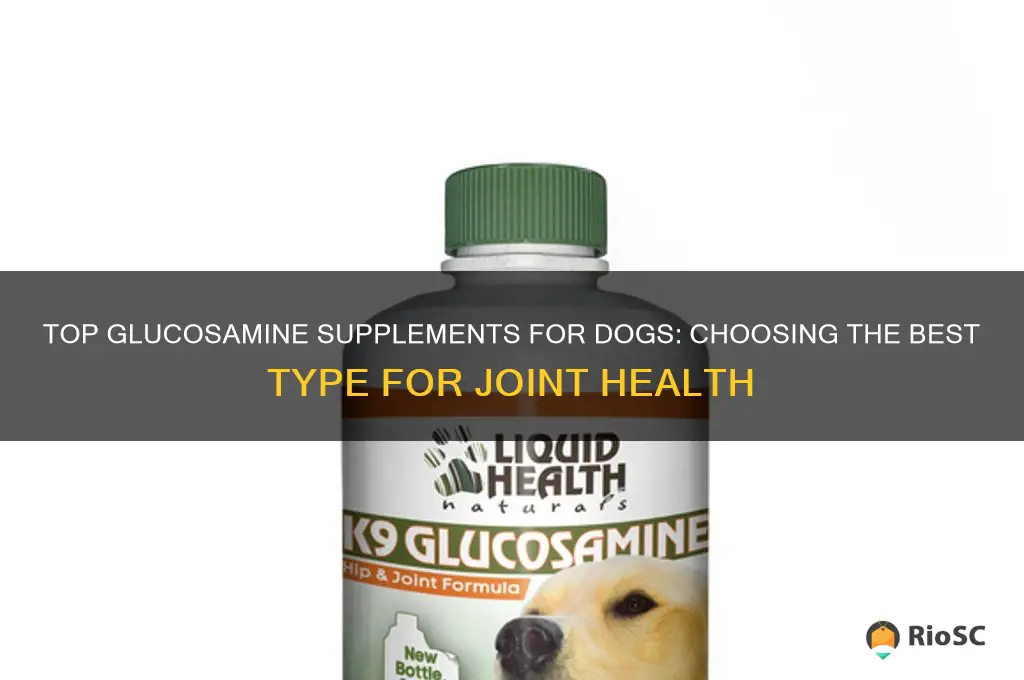 best type of glucosomene supplement for dog