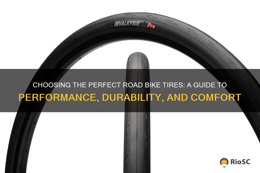 best type of road bike tires
