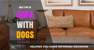Pet-Friendly Comfort: Choosing the Best Sofa Material for Dog Owners