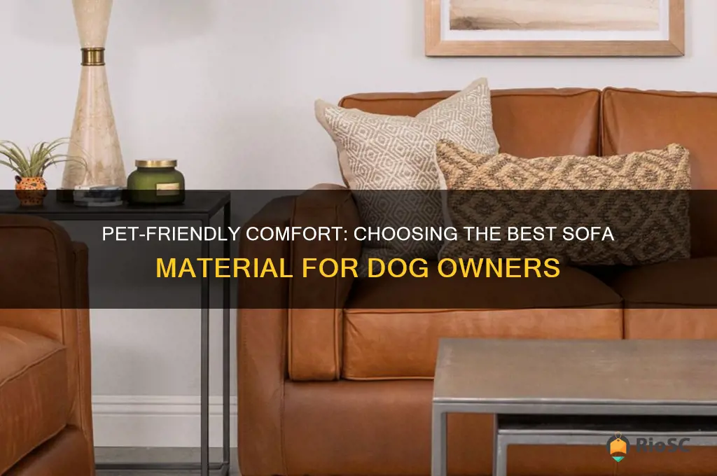 best type of sofa with dogs