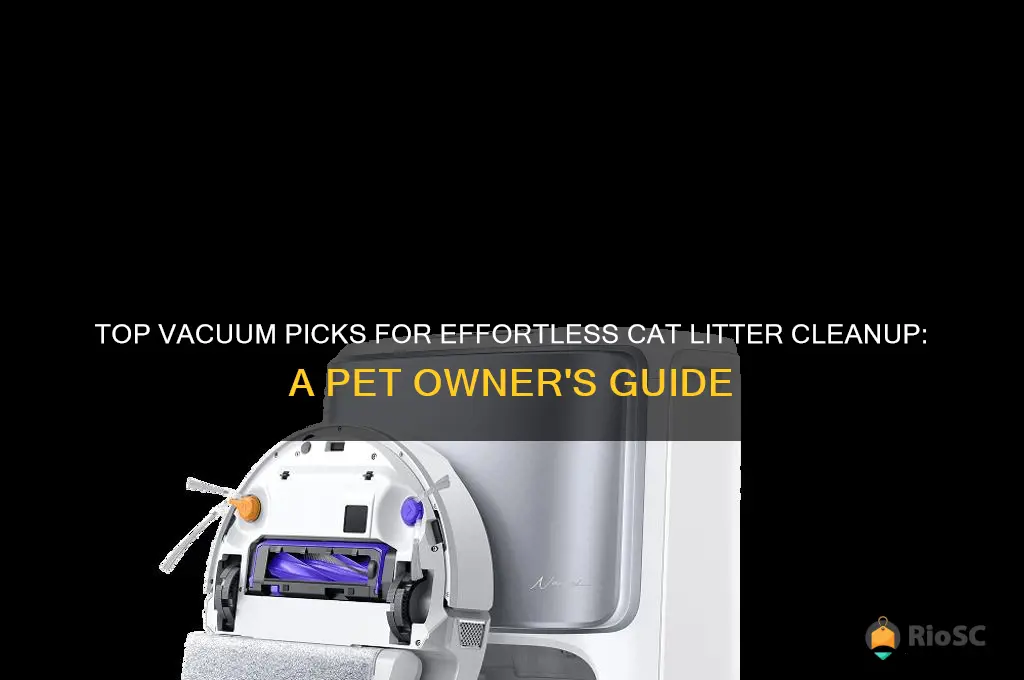 best type of vacuum for cat litter