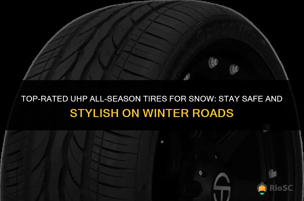 best uhp all season tires for snow