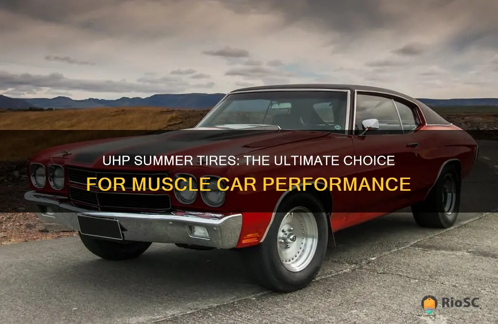 best uhp summer tires muscle cars