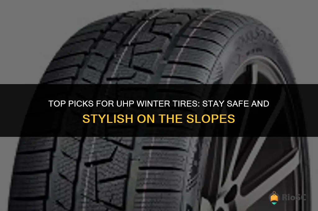 best uhp winter tires