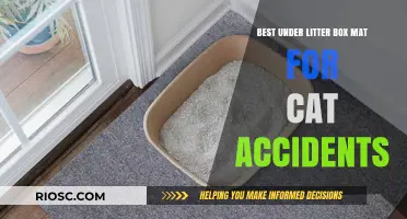 Top Under Litter Box Mat Solutions to Prevent Cat Accidents and Keep Floors Clean