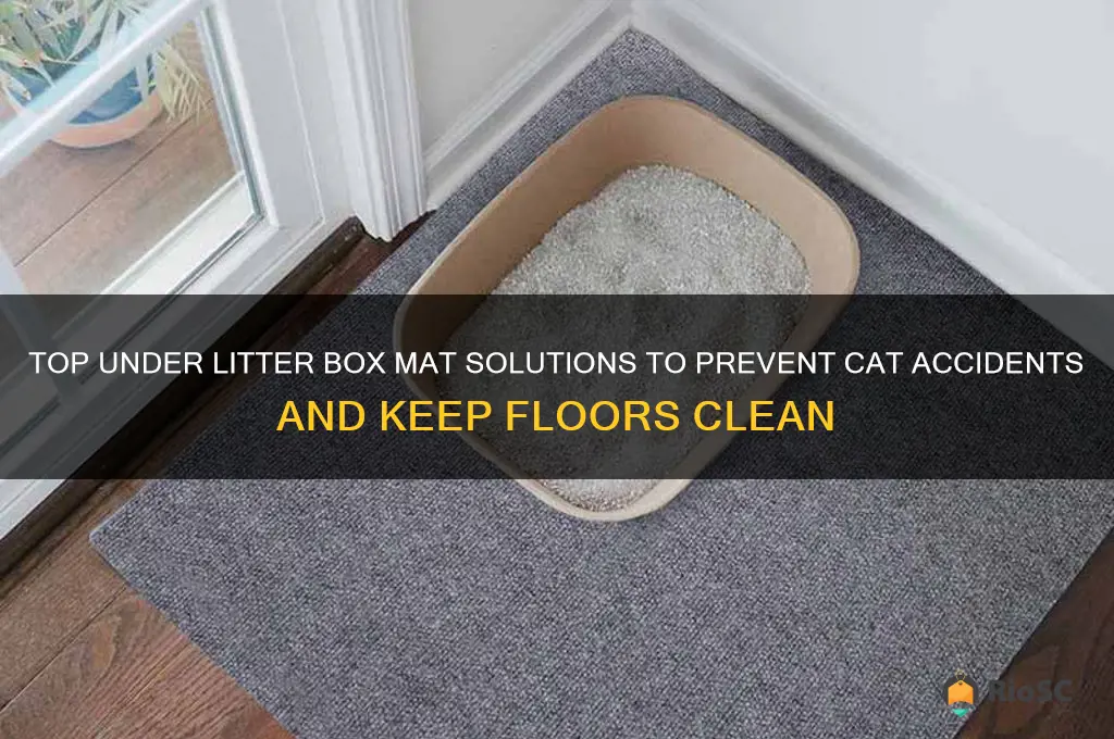best under litter box mat for cat accidents