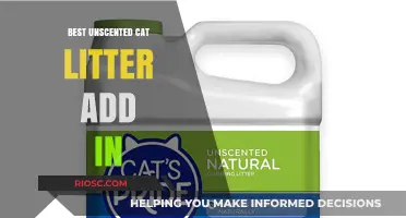 Top Unfragranced Cat Litter Add-Ins for Odor Control and Freshness