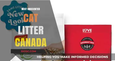 Top Unscented Cat Litter Options in Canada: Odor-Free Solutions for Your Feline Friend