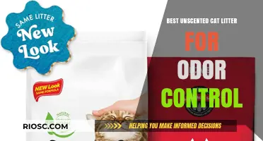 Top Unfragranced Cat Litter Options for Maximum Odor Control