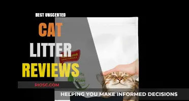 Top Unfragranced Cat Litter Options: Expert Reviews for Odor-Free Homes