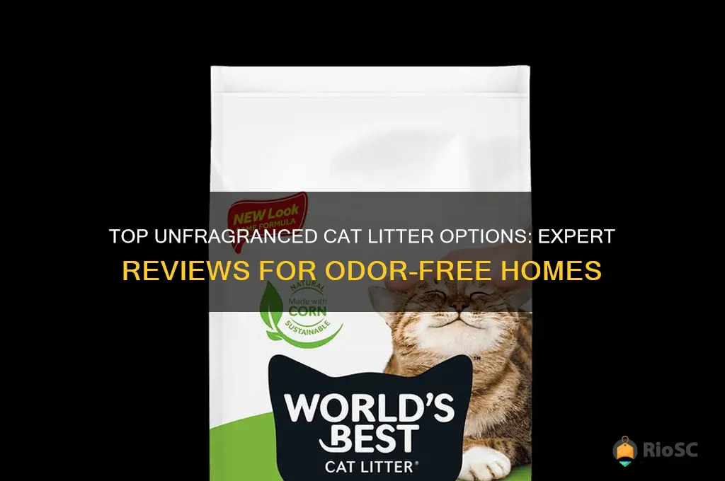 best unscented cat litter reviews