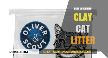 Top Picks for Odor-Free Homes: The Best Unscented Clay Cat Litter Options