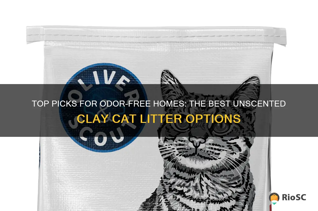 best unscented clay cat litter