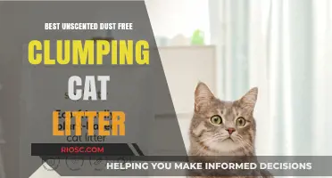 Top Picks: Best Unscented Dust-Free Clumping Cat Litter for a Clean and Odor-Free Home