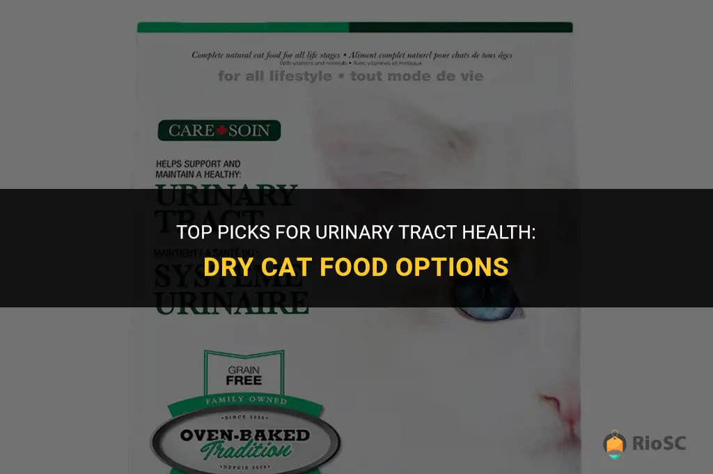 best urinary tract dry cat food