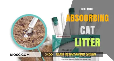 Top-Rated Urine Absorbing Cat Litter: Keep Your Home Fresh and Odor-Free