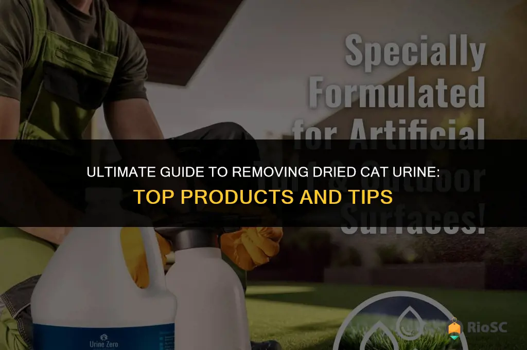 best urine remover for dried cat urine