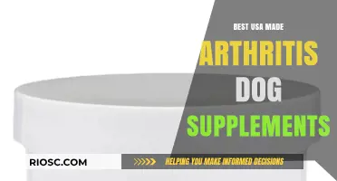 Top USA-Made Arthritis Dog Supplements: Natural Relief for Your Canine Companion