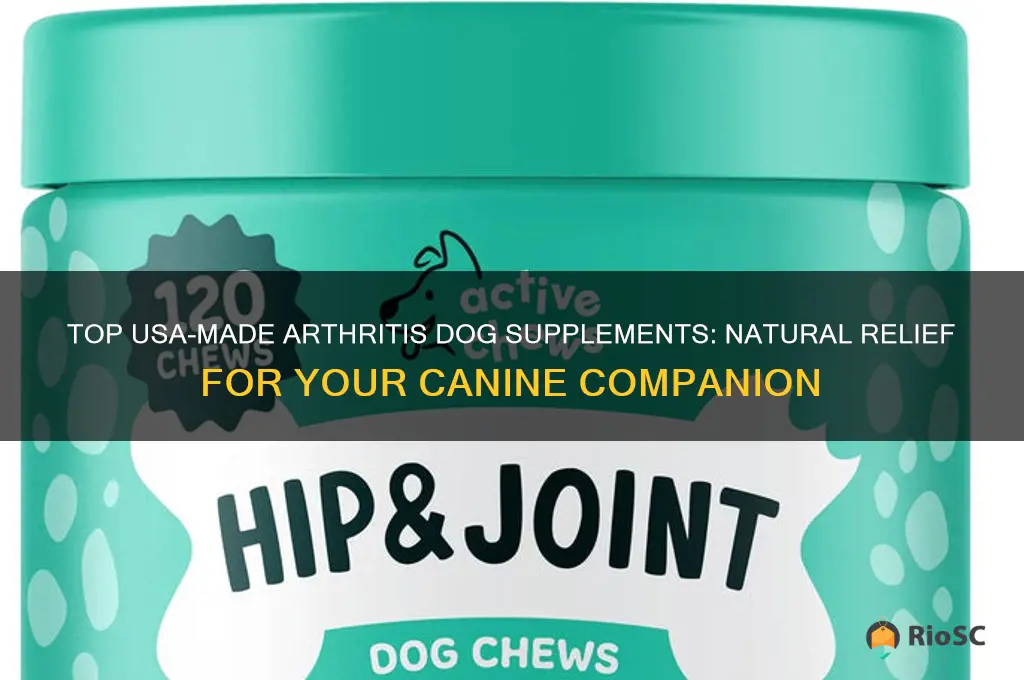 best usa made arthritis dog supplements