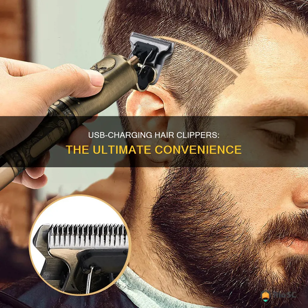 best usb hair clippers