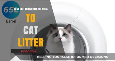 Freshen Up Your Cat’s Litter Box: The Best Way to Use Baking Soda for Odor Control