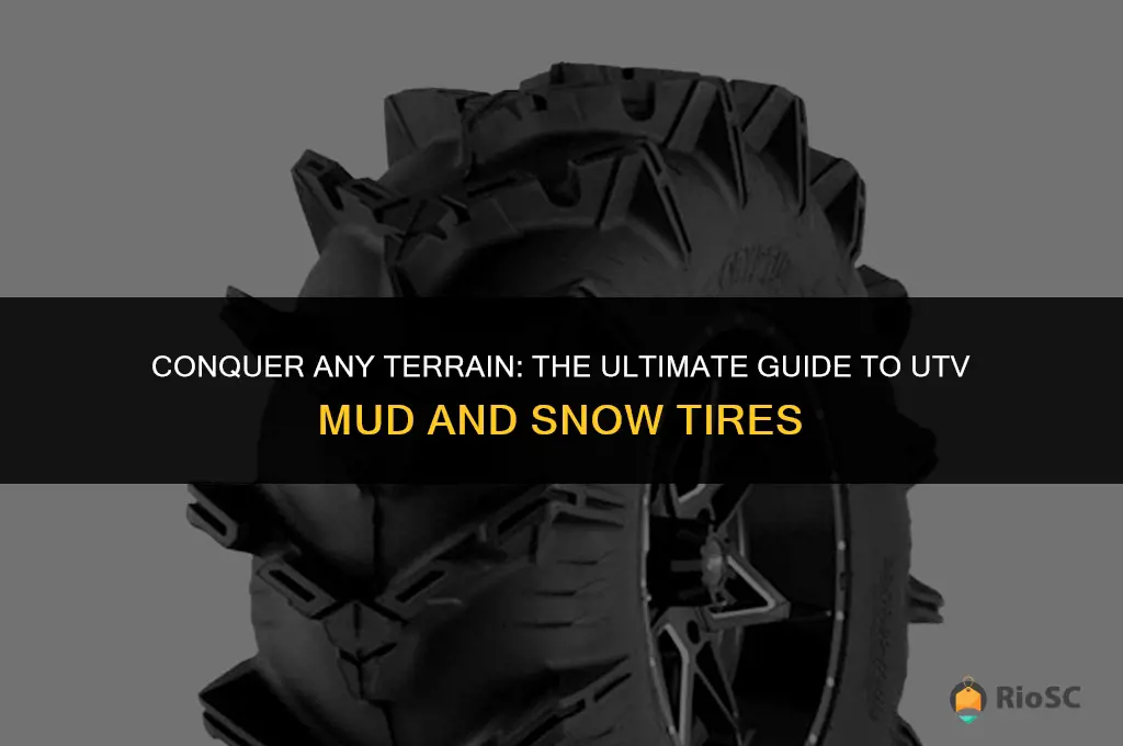 best utv mud and snow tires