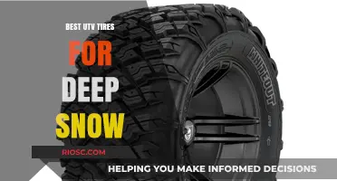 Conquer Winter Trails: Top UTV Tires for Deep Snow Performance
