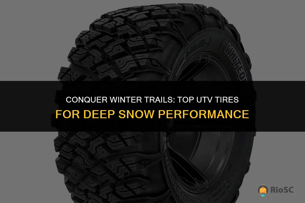 best utv tires for deep snow