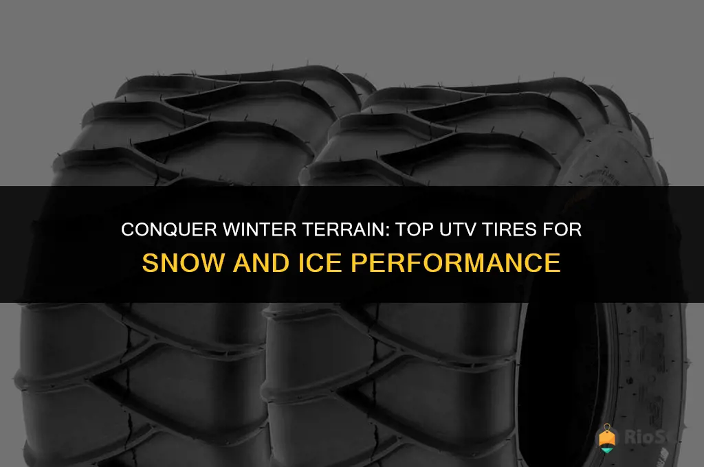 best utv tires for snow and ice