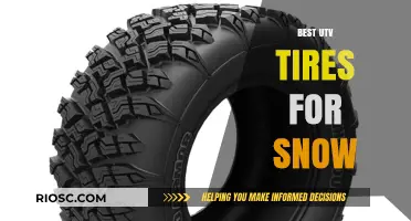 Conquer Winter Trails: Top UTV Tires for Snow Performance
