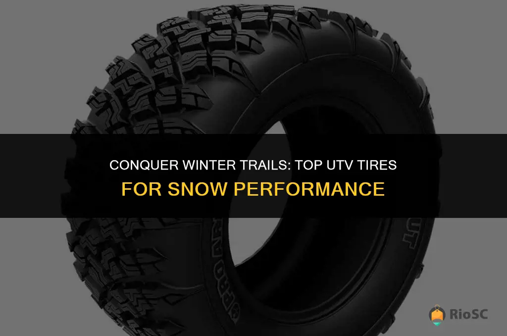 best utv tires for snow