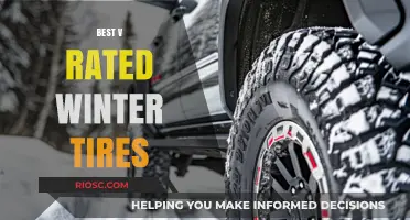 Top-Rated Winter Tires: Your Guide to Safe and Stylish Driving This Season