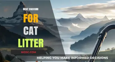Top-Rated Vacuums for Effortless Cat Litter Cleanup: A Pet Owner's Guide