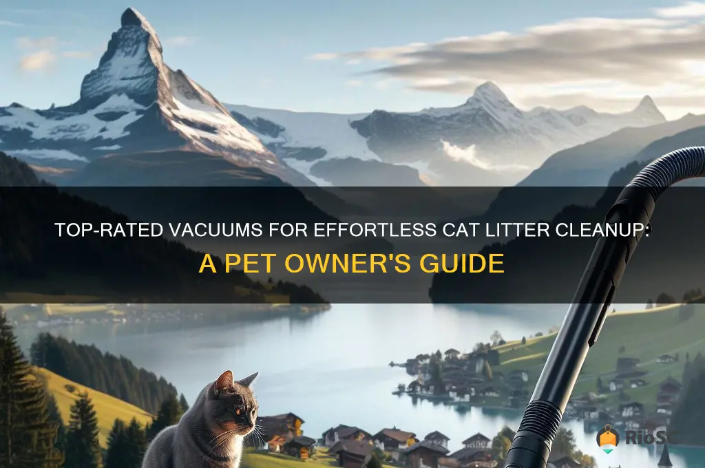 best vaccum for cat litter