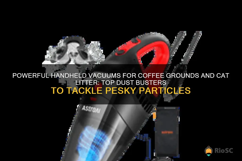 best vacuum dust buster for coffee grounds cat litter particles