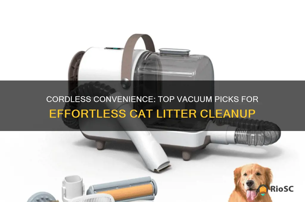 best vacuum for cat litter cordless