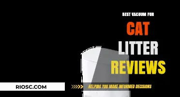 Top-Rated Vacuums for Cat Litter: Expert Reviews and Recommendations