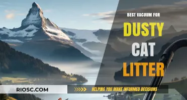 Top Vacuum Picks for Tackling Dusty Cat Litter: Keep Your Home Clean and Fresh