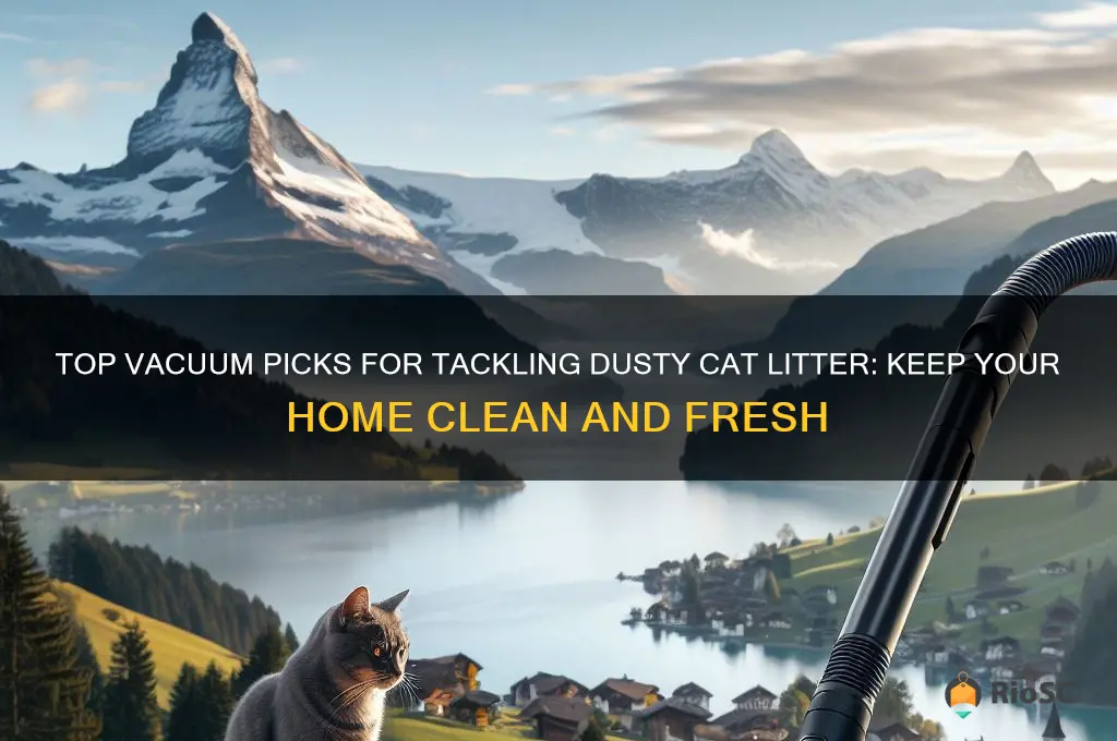 best vacuum for dusty cat litter